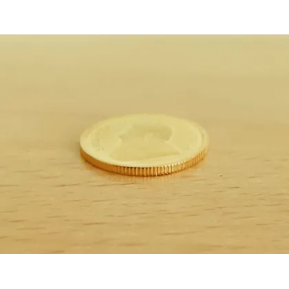 Krügerrand · 1/4 oz Rand / Detail